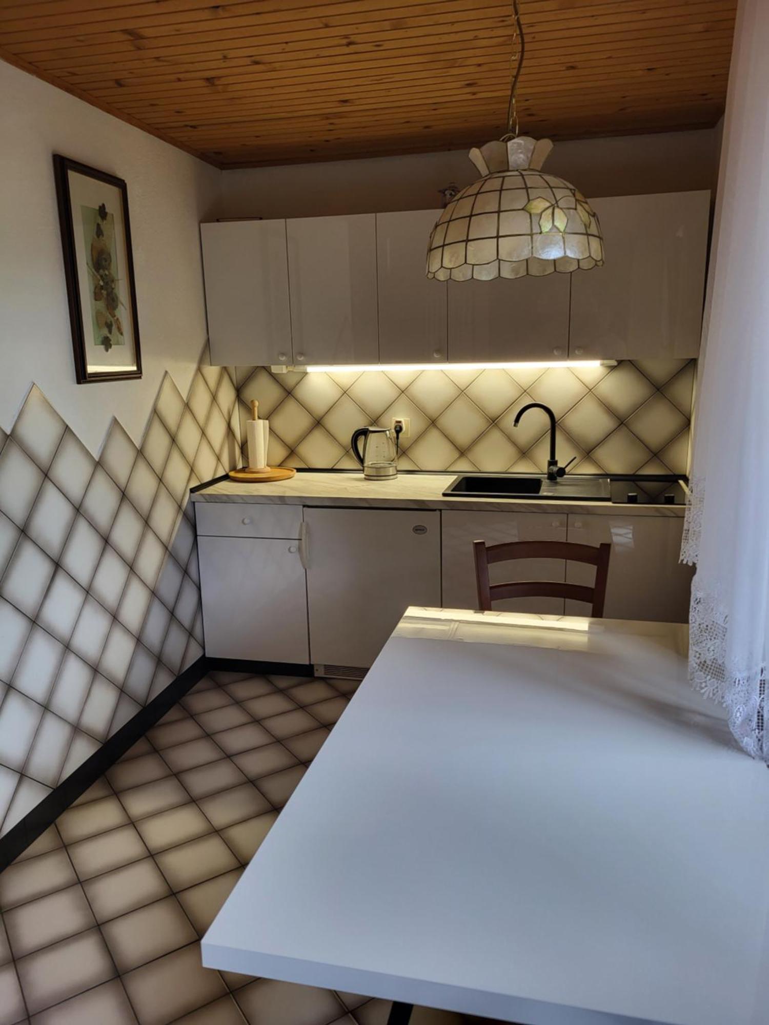 Apartment Dobnikar 크라니스카고라 외부 사진